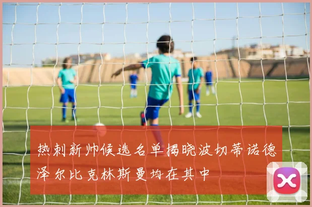 热刺新帅候选名单揭晓波切蒂诺德泽尔比克林斯曼均在其中