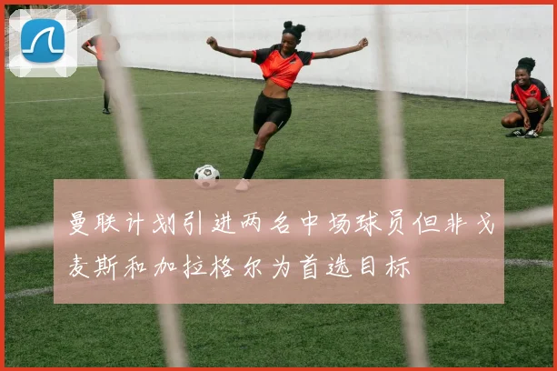 曼联计划引进两名中场球员但非戈麦斯和加拉格尔为首选目标