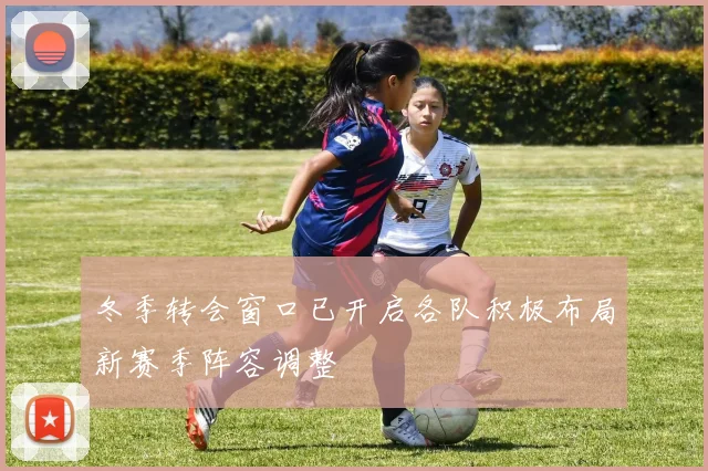 冬季转会窗口已开启各队积极布局新赛季阵容调整