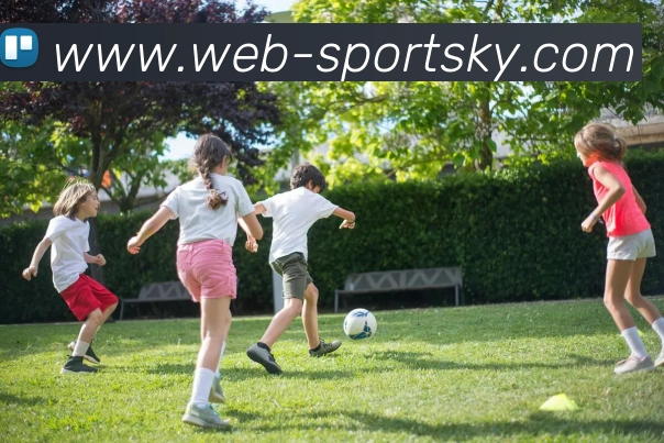 开云体育APP 高清赛事图