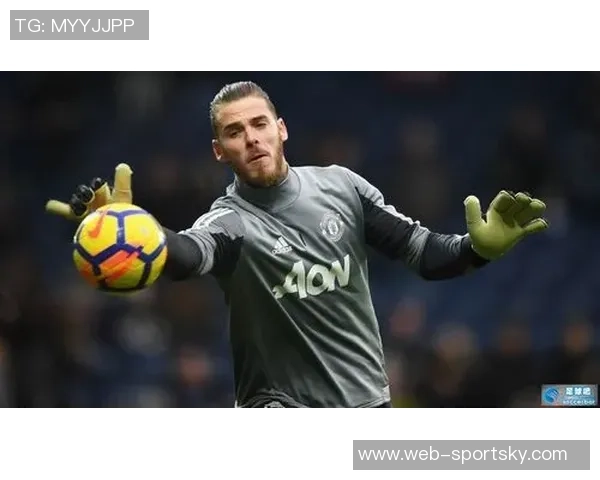 卡勒姆威尔逊谈绝杀事件认为门将保护过度强调身体接触的重要性